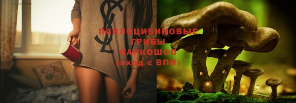 прущий лед Михайловка