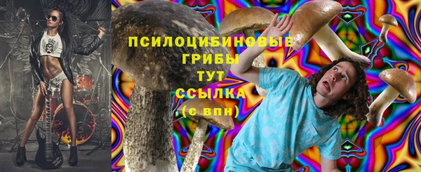 прущий лед Михайловка
