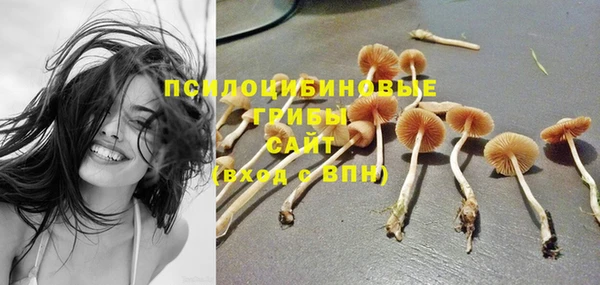 прущий лед Михайловка