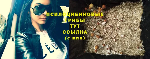 прущий лед Михайлов