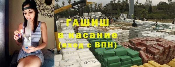прущие грибы Дрезна